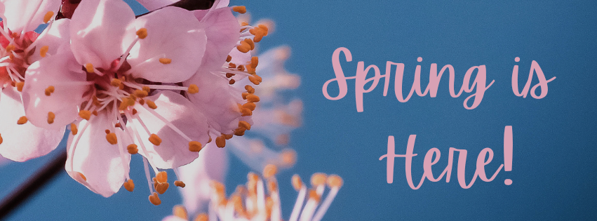 Top 5 Plus Size Fashion Trends for Spring 2025